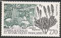 TAAF209 - Philatélie - Timbres des terres australes n° YT209 - Timbres de collection